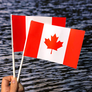 Canada Paper Stick Flags